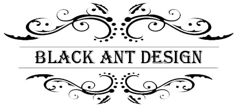 Web-дизайн, web-программирование, SEO, оптимизация, раскрутка сайта, Black Ant corp.